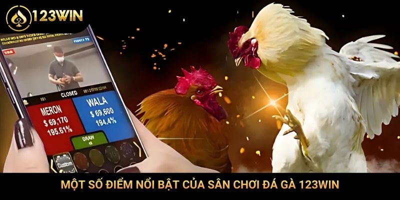 Một số điểm nổi bật của sân chơi đá gà 123Win